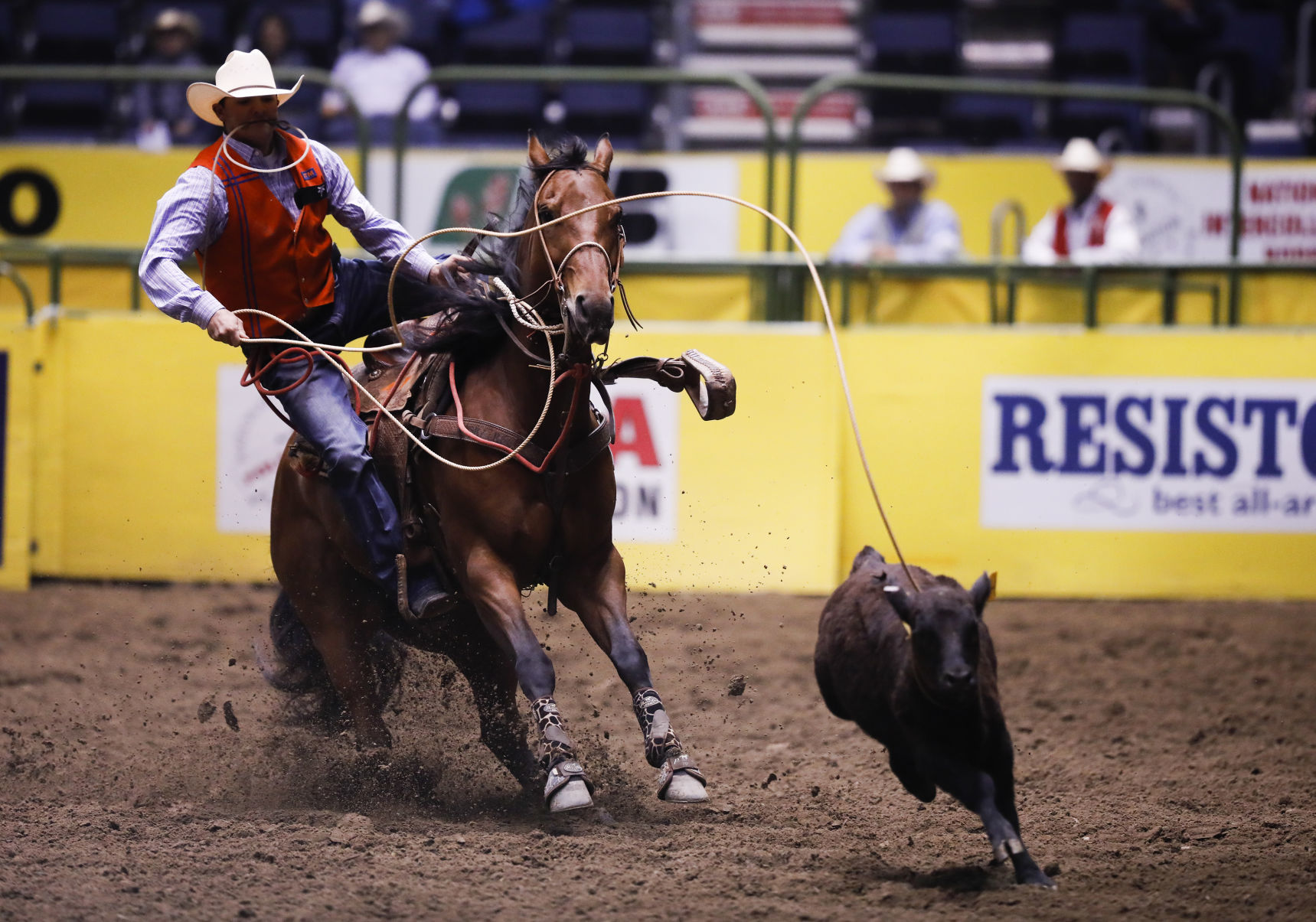 CNFR - Tuesday